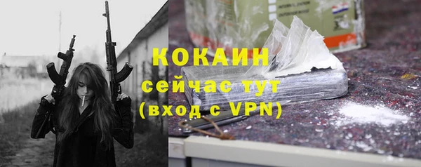 кокс Арсеньев
