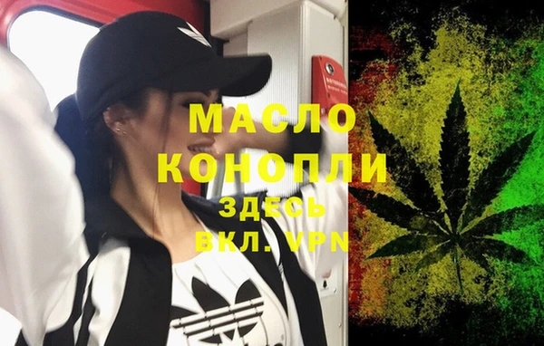 индика Армянск