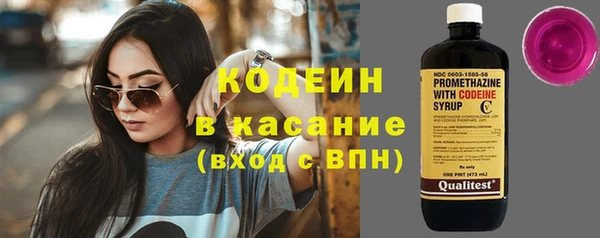 индика Армянск