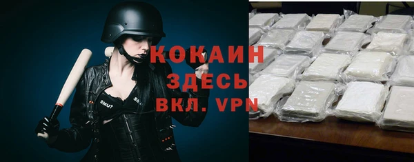 индика Армянск