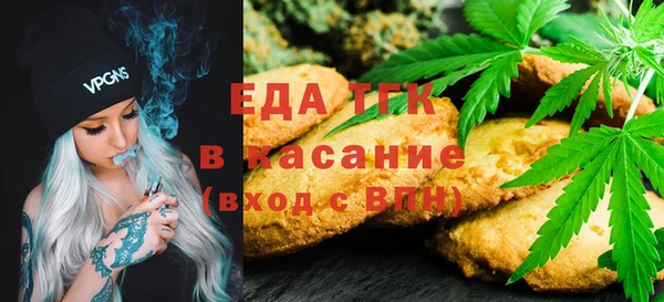 индика Армянск