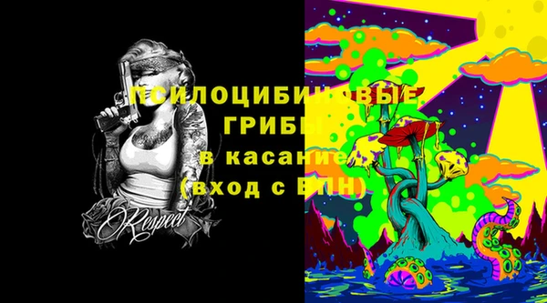кокс Арсеньев