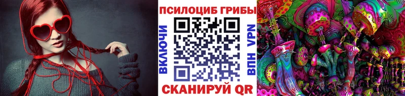 Псилоцибиновые грибы ЛСД  купить закладку  Катав-Ивановск 